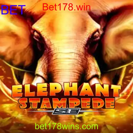 ElephantStampedeSE
